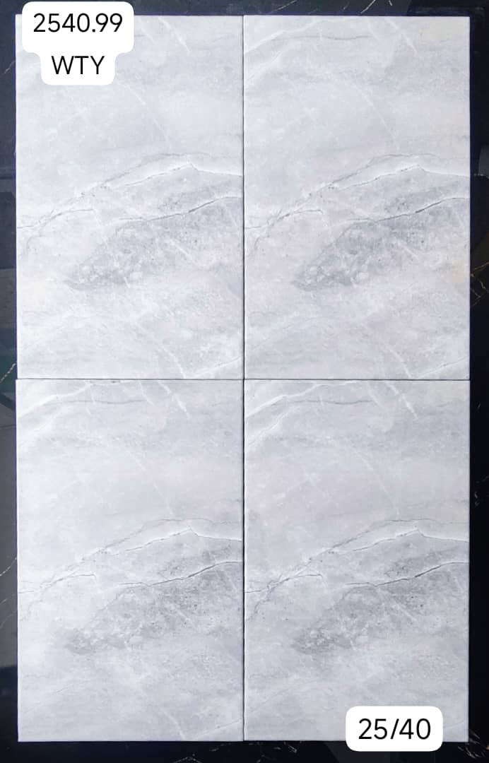 🪨 Élégance Naturelle au Sol – Carrelage Effet Pierre 25x40 cm 🪨
