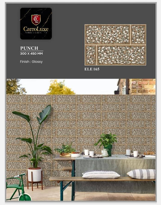 Élégance Naturelle pour Vos Murs Extérieurs – Carrelage PUNCH ELE 165 Modèle 30/45